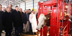 HBB’den “Hayvan Tırnak Kesim Makinesi”