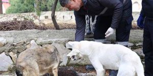 Hatay Büyükşehir Belediyesi çalışması