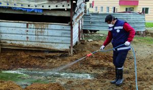 Hatay Büyükşehir Belediyesi haşere ile mücadele çalışmaları