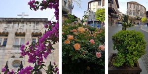 Sokakların sessizliğinde… Çiçeklerin rengârenk dansı