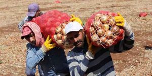 Hatay’daki mevsimlik işçiler