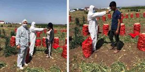 Tarım Müdürlüğü’nden küresel salgın tedbirleri