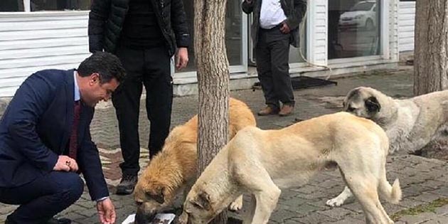 Hatay Valisi Rahmi Doğan,