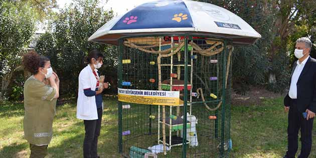 Hatay Büyükşehir Belediyesi’nden Arsuz’da,