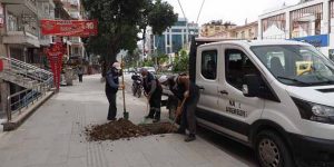 Hatay Büyükşehir Belediyesi çalışması