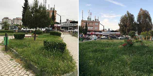 Antakya Belediyesi sorumluluk alanı