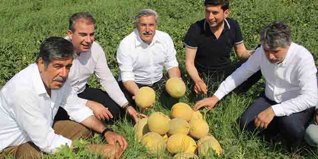 Verim Artışı Yüzleri Güldürdü