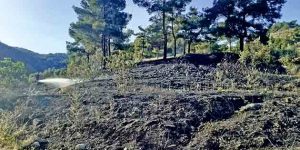Antakya’da bir zeytin bahçesinde çıkan yangın ormanlık alana sıçramadan söndürüldü.