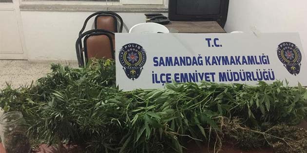 Bir evde 50 gr esrar ele geçti Samandağ ilçesinde bir