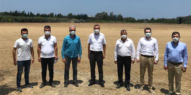 İlimiz Hatay’ın, muz üretiminde