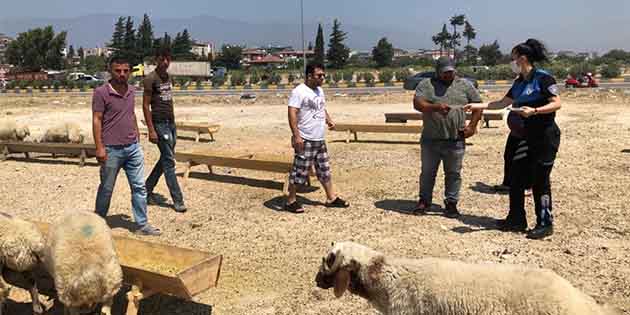 Ülke genelindeki kurban pazarlarında