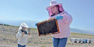 Yılda 1 Ton Bal Üreten İşletmeye Sahip Oldu