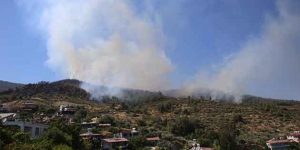 Antakya’da dört farklı noktada yangın