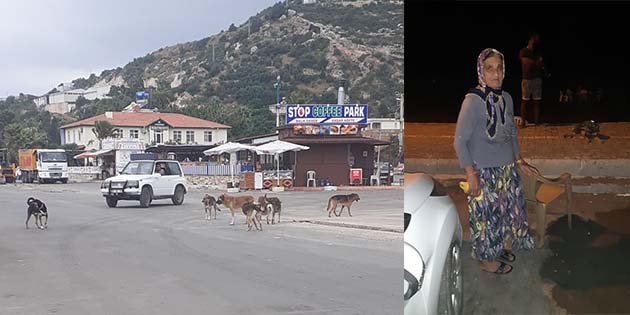 67’lik kadına saldırdılar Antakya