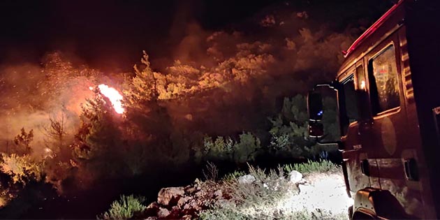 Defne ilçesindeki makilik alanda