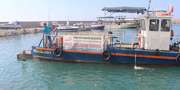 Hatay sahillerinde 4 aylık