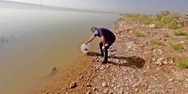 Tarım Müdürlüğü, il genelindeki