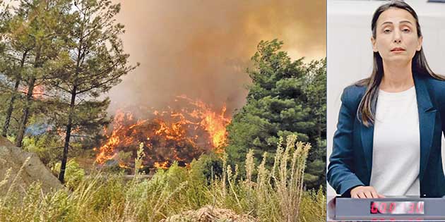 Milletvekili Oruç, ilimizdeki yangınlar ile ilgili soru önergesini Bakan Pakdemirli’ye