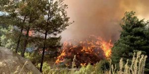 Hatay’ın Kalbi Yandı