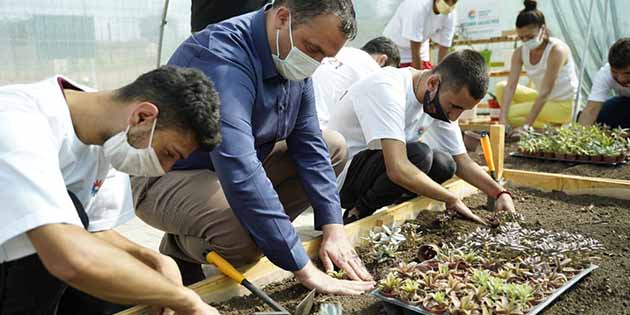 Öğrencilerden Çiçek Üretimi Hatay