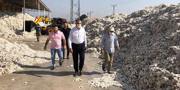 Hatay CHP Milletvekili Mehmet Güzelmansur; ilimizde çiftçinin pamuğunun hasat döneminin