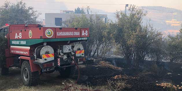 Yaşanan yangınlar, beraberinde birçok