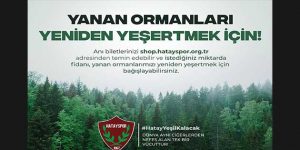 Yanan ormanlık alanın ağaçlandırılması için