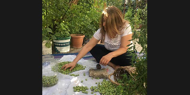 Yaşadığı Ankara’dan memleketi Hatay’a