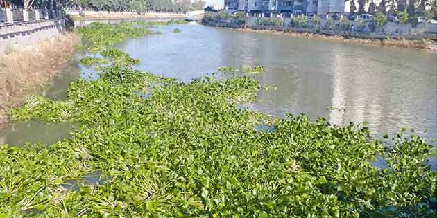 Asi Nehri’nin belli noktalarında