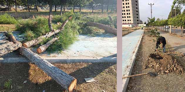 Dörtyol ilçe merkezinde, Devlet