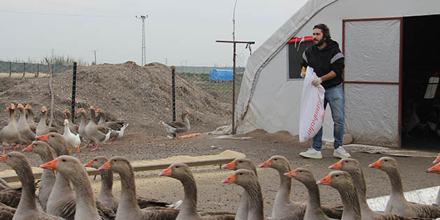 MKÜ Öğrencisi A. Raşit Öztürk, uzaktan eğitimi fırsata çevirdi …