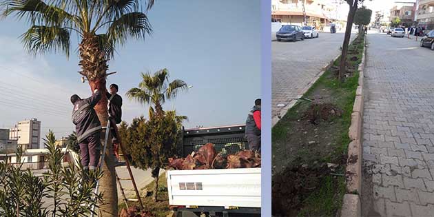 Hatay Büyükşehir Belediyesi (BŞB) Park Bahçe Müdürlüğü’ne bağlı Reyhanlı ekibi