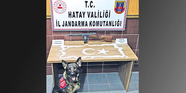 Jandarma, 2 görevli köpek