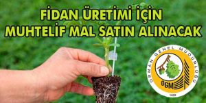 Fidan Üretimi İçin Muhtelif Mal Satın Alınacak