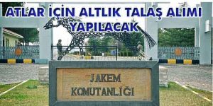 Atlar için Altlık Talaş Alımı Yapılacak