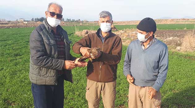 Hatay’ın Kırıkhan ilçe kırsalında