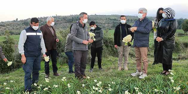 Vali Rahmi Doğan, Pazar