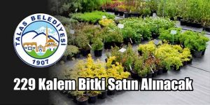 229 Kalem Bitki Satın Alınacak