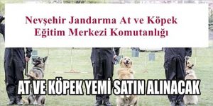 At ve Köpek Yemi Satın Alınacak