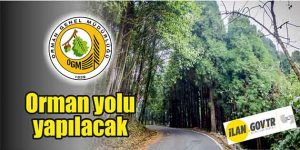 Orman yolu yapılacak