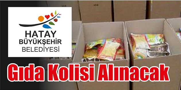Hatay Büyükşehir Belediyesi Destek Hizmetleri Dairesi Başkanlığı, gıda kolisi satın