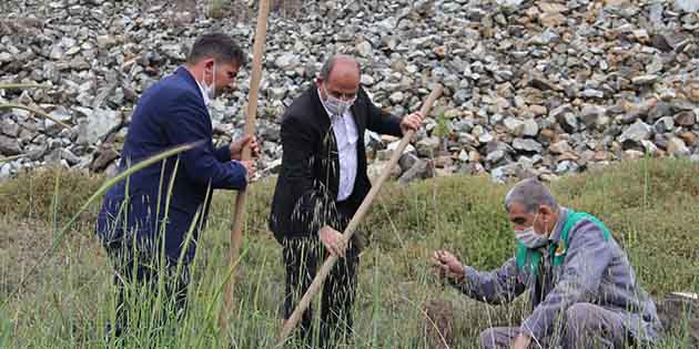 Fidan Dikimi… Kırıkhan ilçesinde,