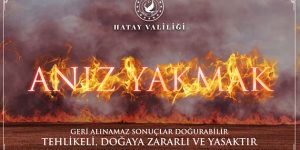 Hatay Valiliğinden anız uyarısı