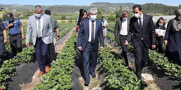 Hasadı Vali başlattı İlimizde