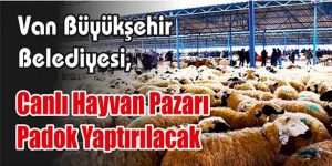 Canlı Hayvan Pazarı Padok Yaptırılacak