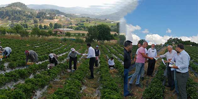 Çiftçi borçları ertelenecek, mazota