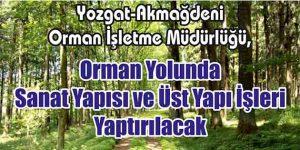 Orman Yolunda Sanat Yapısı ve Üst Yapı İşleri Yaptırılacak