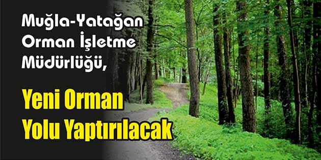 Yeni Orman Yolu Yaptırılacak Muğla-Yatağan Orman İşletme Müdürlüğü, yeni orman yolu yaptıracak. Edinilen bilgilere