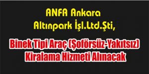 Binek Tipi Araç (Şoförsüz-Yakıtsız) Kiralama Hizmeti Alınacak