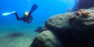 Dalış tutkunları için de cazibe merkezi oldu